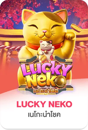 LUCKYNEKO by สล็อต ktvc4